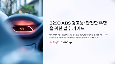 E250 ABS 경고등이 켜졌을 때, 놓치면 안 되는 점들