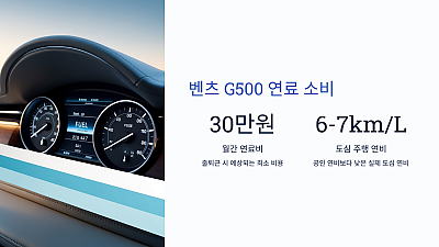 이는 월간 연료비만 약 30만 원 이상이 소요됨을 나타냅니다.