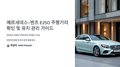 메르세데스-벤츠 E250 주행거리 확인 및 유지 관리 가이드